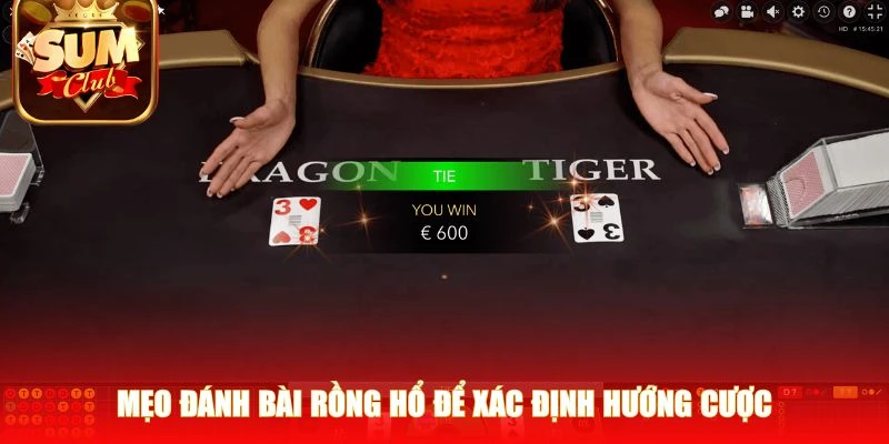 Mẹo đánh bài rồng hổ để xác định hướng cược